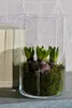 INNA-Glas Glas Vase Zylinder Sanya Earth, klar, 25cm, Ø18cm Produktbild-Vorschau 2