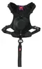 Pettorina per cani con guinzaglio EASY RIDE nero S Zolux Anteprima dell’immagine prodotto 5