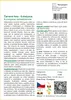 SAFLAX - Červená řeka - Eukalyptus - Eucalyptus Náhled obrázku produktu 3
