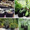 Worek do sadzenia 20X 10L wykonany z włókniny, worek na Podgląd zdjęcia produktu 4