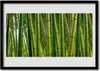 Bild 70x50 MDF-Rahmen Wandkunst Bambussprossen Bambuswald Produktbild-Vorschau 1