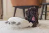 Beeztees Puppy Cuddle Toys und Herzschlag Simulator Lama Produktbild-Vorschau 5