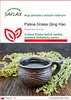 SAFLAX - Palina čínska Qing Hao - Artemisia annua - 250 Náhľad obrázku produktu 1