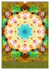 FLORALE MANDALAS (Wandkalender 2027 DIN A3 hoch), CALVENDO Produktbild-Vorschau 12