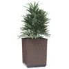 vidaXL květináč 4 ks Hnědý 30x30x37 cm Polypropylen Náhled obrázku produktu 3