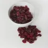IGART Preiselbeeren getrocknet 500G Produktbild-Vorschau 2