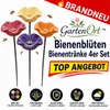 GartenOrt™ Kwiaty dla pszczół, poidła dla pszczół i owadów, Podgląd zdjęcia produktu 1