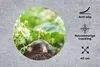 MuchoWow® Mauspad Mousepad Tier - Garten - Maulwurf 40x40 Produktbild-Vorschau 2