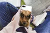 MuchoWow® Handyhülle Schutzhülle Hülle für iPhone 8 Produktbild-Vorschau 3