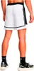 Under Armour Ua Baseline Pro Mesh Short - bianco, taglia:L Anteprima dell’immagine prodotto 6
