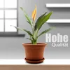 BigDean 1 Stück Blumentopf mit Untersetzer rund ø 35 cm Produktbild-Vorschau 6