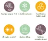 GreenboutiQ - Plante fruitière - Kiwi - Actinidia arguta Voir les images du produit 6