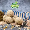 200 Stk. Lyra Pet® Premium Meisenknödel ohne Netz à 85 g Produktbild-Vorschau 6