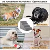 Hunderampe Hundetreppe 4 Stufen rutschfest Haustiertreppe Produktbild-Vorschau 7