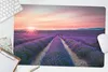 MuchoWow® Schreibtischunterlage Lavendel - Lila - Blumen - Produktbild-Vorschau 5