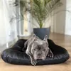 A French Bulldog lies on a black dog bed in a room with a potted plant in the background. Produktbild-Vorschau