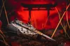 Assassins Creed Naoe Ukryte Ostrze Prawdziwa Replika Podgląd zdjęcia produktu 9