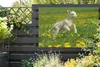 MuchoWow® Produktbild-Vorschau 5