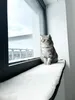 Fensterbankauflage für Katzen 90 x 25 cm Katzenbett Produktbild-Vorschau 1