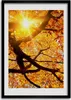 Bild - Bilderrahmen - Foto - 70 cm x 100 cm - MDF - Rahmen Produktbild-Vorschau 1