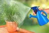 A hand spraying a plant with water using a blue watering can with a spray nozzle. Produktbild-Vorschau