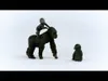 Schleich Wild Life Flachland Gorilla Familie  42601 Produktbild-Vorschau 9