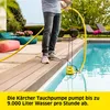 Pompa zanurzeniowa Kärcher SP9000 Płaskie zasysanie do 1 mm Podgląd zdjęcia produktu 11