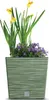 A square green planter with a striped pattern containing yellow daffodils and purple flowers. Produktbild-Vorschau