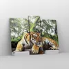 Bild auf Leinwand - Leinwandbild - 3 Teile - Tiger Produktbild-Vorschau 4