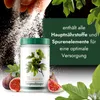 Meine Orangerie Feigenbaum Dünger [1kg] - Premium Dünger Produktbild-Vorschau 2