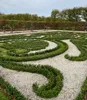 BALDUR Garten 1x Euonymus 'Green Empire®', Pflanze im 9x9 Produktbild-Vorschau 4
