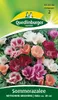 Quedlinburger Saatgut - Sommerazalee - Samen - 512352 Produktbild-Vorschau 3