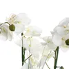 Umělá orchidej v keramickém hrnci, vkusné květinové Náhled obrázku produktu 4