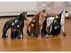 Horse Club Sofia's Beauties Beauty Horse Knabstrupper Produktbild-Vorschau 2