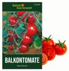 Balkontomaten rot Balkonzauber Samen - Solanum lycopersicum Produktbild-Vorschau 1