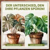 Green Home Monstera Erde 36 L – Substrat für Fensterblatt, Produktbild-Vorschau 6