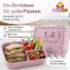 Pausenhero Brotdose Kinder mit Fächern [Obstgabeln + Produktbild-Vorschau 2