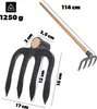 KADAX Houe à pommes de terre avec 4 dents et long manche en Voir les images du produit 2