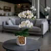Seramis Spezial-Substrat für Orchideen 7 l mit Tongranulat Produktbild-Vorschau 4
