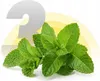 A large, stylized number '3' is overlaid on a background of concentric yellow and white arcs, with a bunch of fresh mint leaves in the foreground. Produktbild-Vorschau