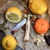 OPINEL Tradition 000693 Náhled obrázku produktu 13