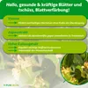 Purgrün -Gewürzlorbeer-Dünger 1 Liter, Produktbild-Vorschau 3
