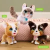 Just Play furReal Walk-A-Lots Bernedoodle, interaktives Produktbild-Vorschau 12