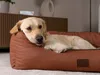 TrendPet Runa letto in Pelle finta marrone (100x75x30cm) Anteprima dell’immagine prodotto 9