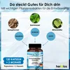 HERBIOS Entwässerungs-Komplex 120 Kapseln – 2 Monate Vorrat Produktbild-Vorschau 3