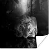 MuchoWow® Poster Tiere - Schmetterling - Tiger - Schwarz - Produktbild-Vorschau 1