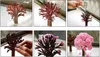 thumbsUp! Magic Sakura, A0000728 Produktbild-Vorschau 3