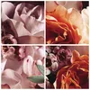Bilder auf glas - Einteilig - Blumen Getreide Rosen - Produktbild-Vorschau 8