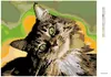 Diamondi - Diamond painting - GESTREIFTER KATER, 40X50 cm, Produktbild-Vorschau 3