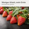 Praknu Unkrautvlies 150g/m2 Extra Stark - 50m2 - Produktbild-Vorschau 2